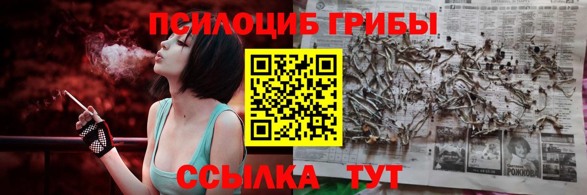 Златоуст  Галлюциногенные грибы прущие грибы  Вход с VPN 